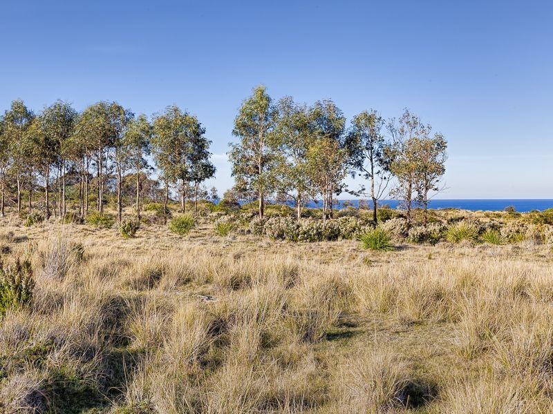 1/ Tasman Highway, Chain Of Lagoons TAS 7215