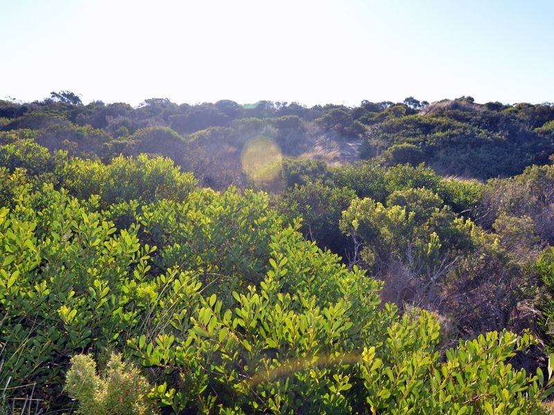 283 Dolphin Sands Road, Dolphin Sands TAS 7190