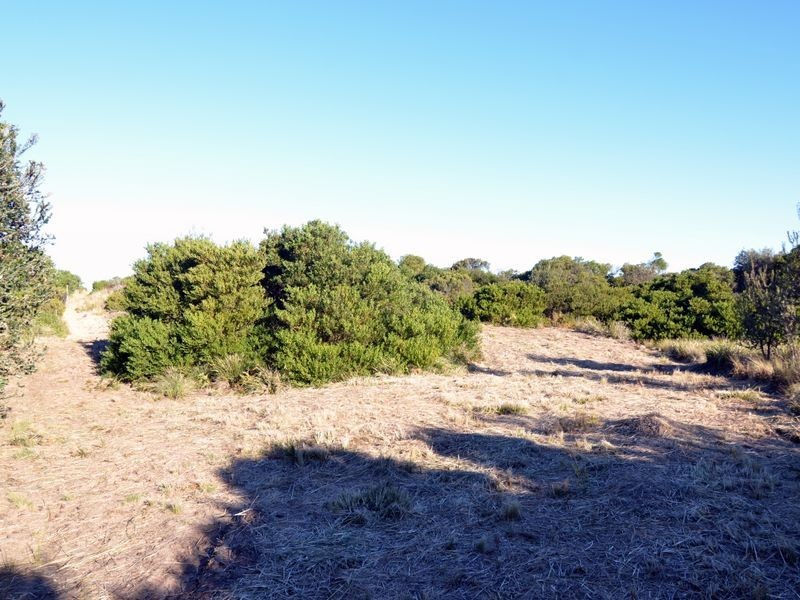 283 Dolphin Sands Road, Dolphin Sands TAS 7190