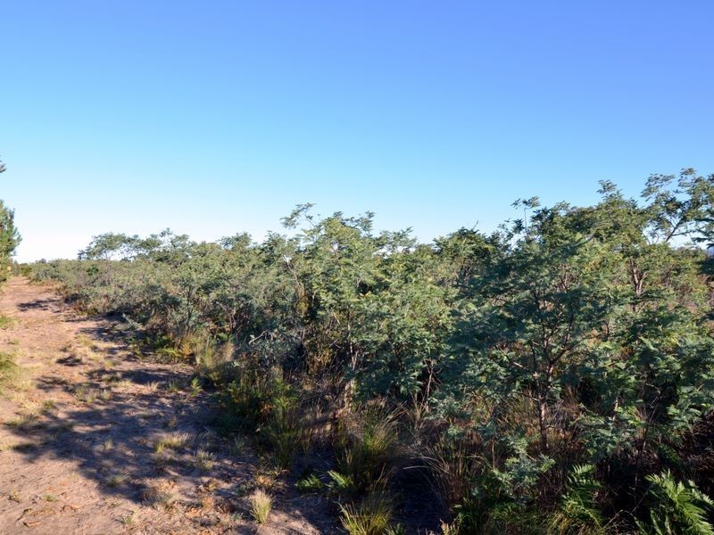 283 Dolphin Sands Road, Dolphin Sands TAS 7190