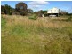 114 Swanwick Drive, Coles Bay TAS 7215