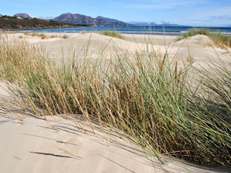 12 Hazards View Drive, Coles Bay TAS 7215