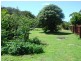 20 Douglas Street, Bicheno TAS 7215