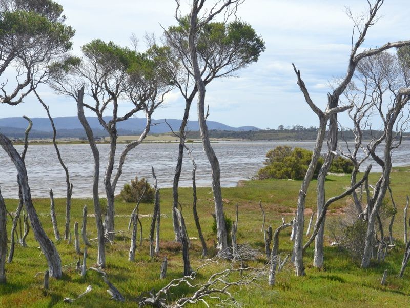 295 Wallaroo Road, Coles Bay TAS 7215