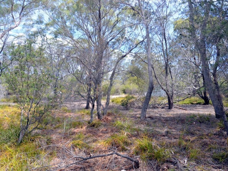 295 Wallaroo Road, Coles Bay TAS 7215