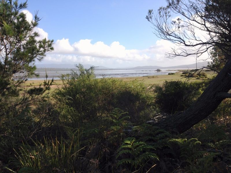 295 Wallaroo Road, Coles Bay TAS 7215