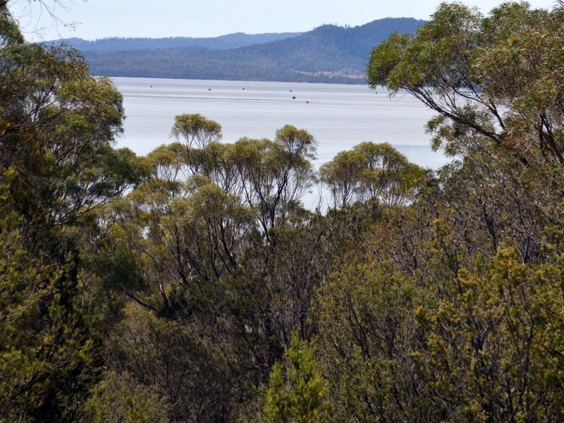 295 Wallaroo Road, Coles Bay TAS 7215