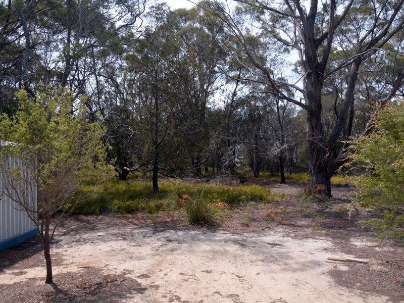 295 Wallaroo Road, Coles Bay TAS 7215