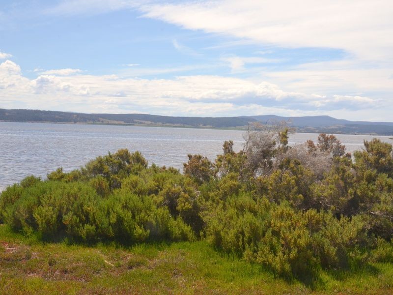 295 Wallaroo Road, Coles Bay TAS 7215