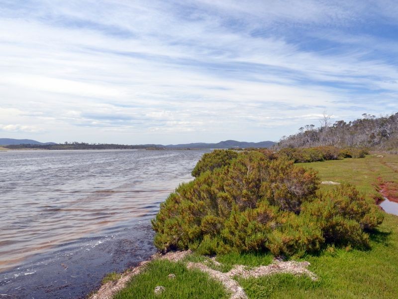 295 Wallaroo Road, Coles Bay TAS 7215