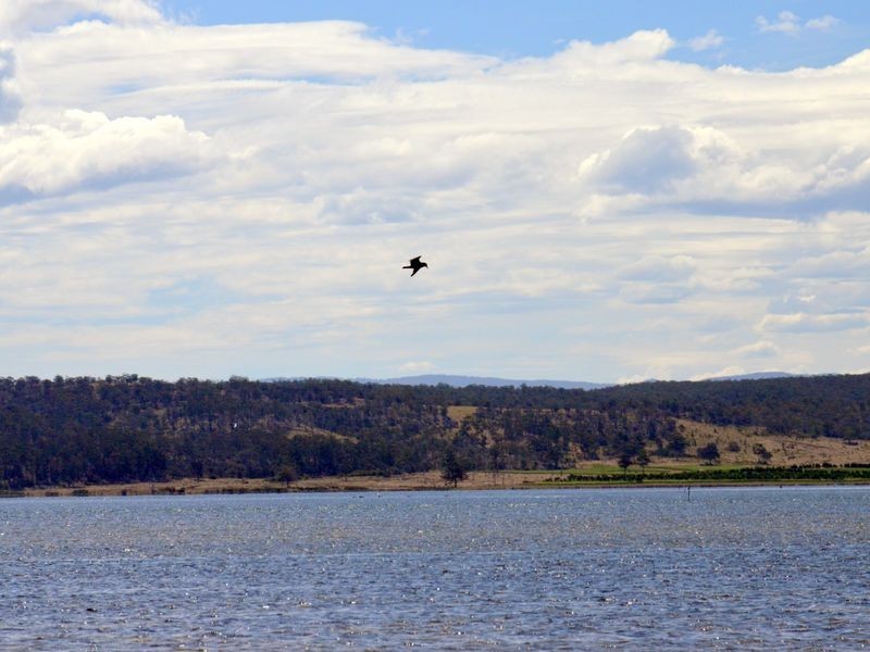 295 Wallaroo Road, Coles Bay TAS 7215