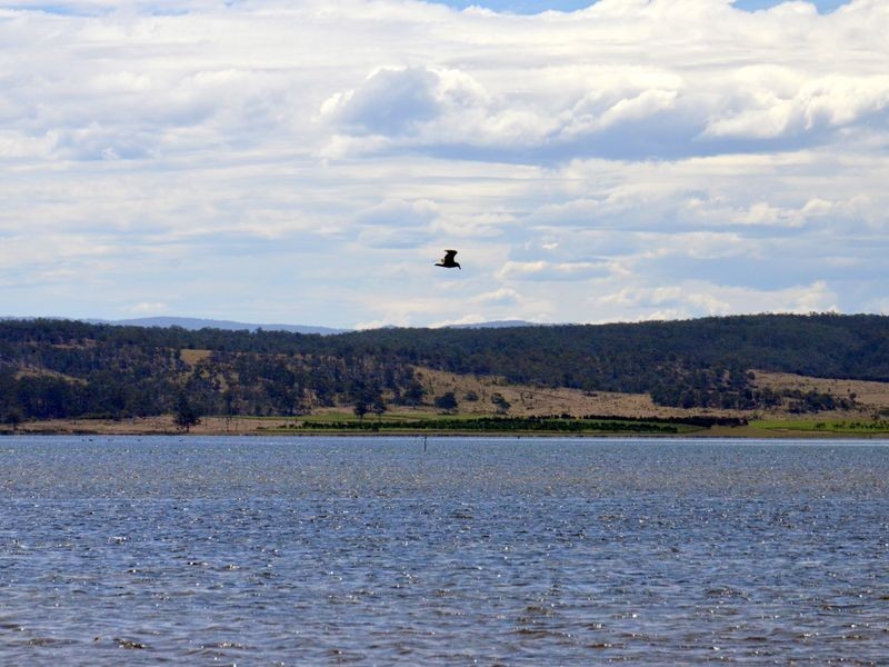 295 Wallaroo Road, Coles Bay TAS 7215