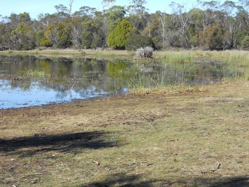 295 Wallaroo Road, Coles Bay TAS 7215