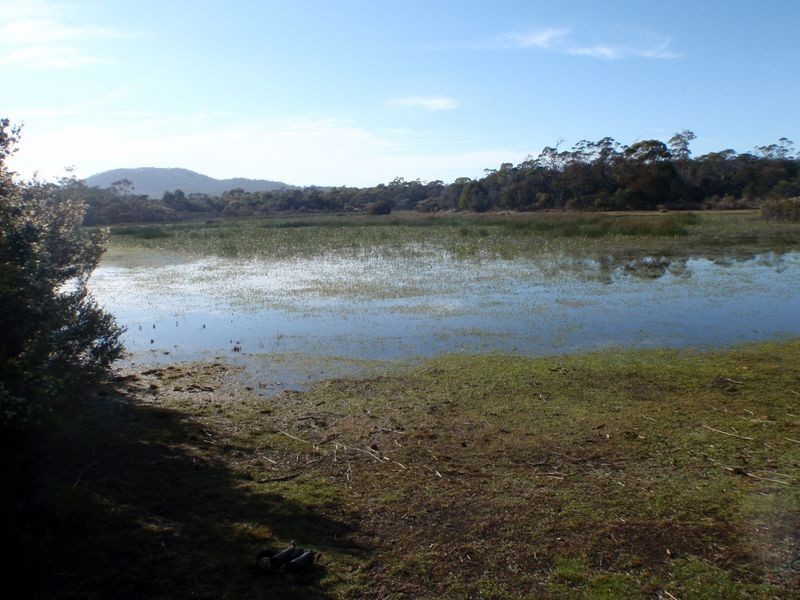 295 Wallaroo Road, Coles Bay TAS 7215