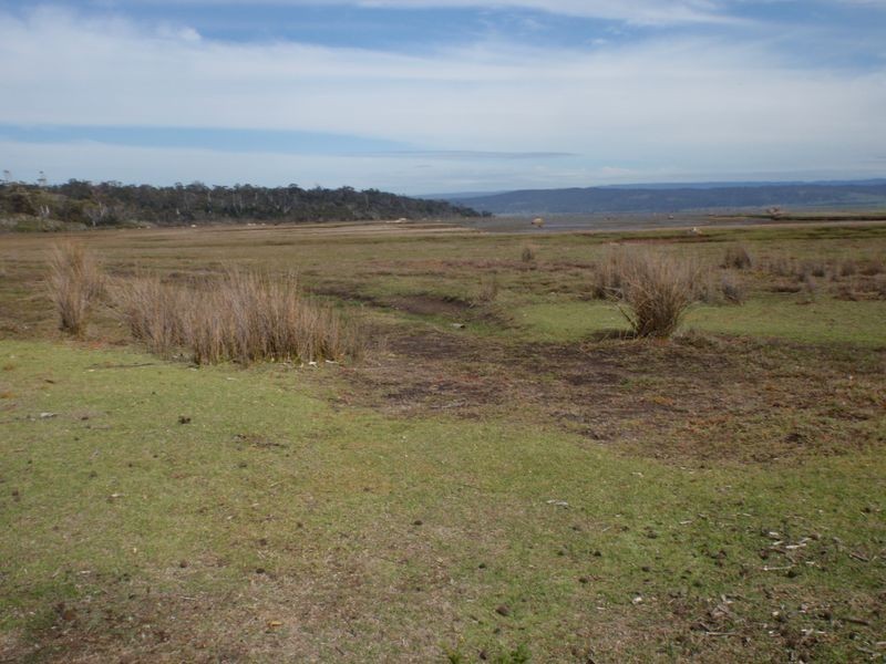 295 Wallaroo Road, Coles Bay TAS 7215