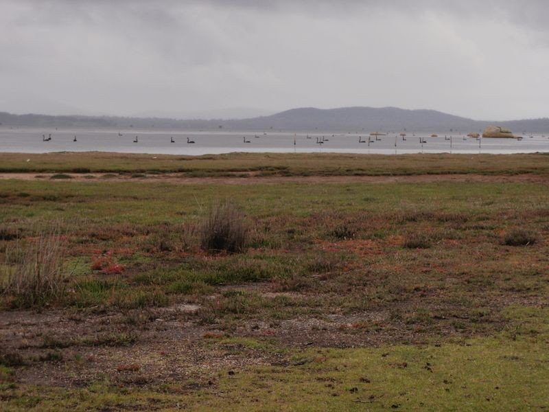 295 Wallaroo Road, Coles Bay TAS 7215