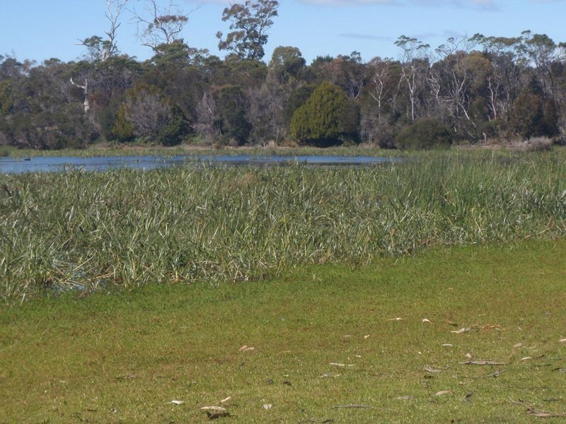 295 Wallaroo Road, Coles Bay TAS 7215