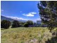 4 Gordon Heights, Bicheno TAS 7215