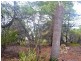 426 Freycinet Drive, Coles Bay TAS 7215