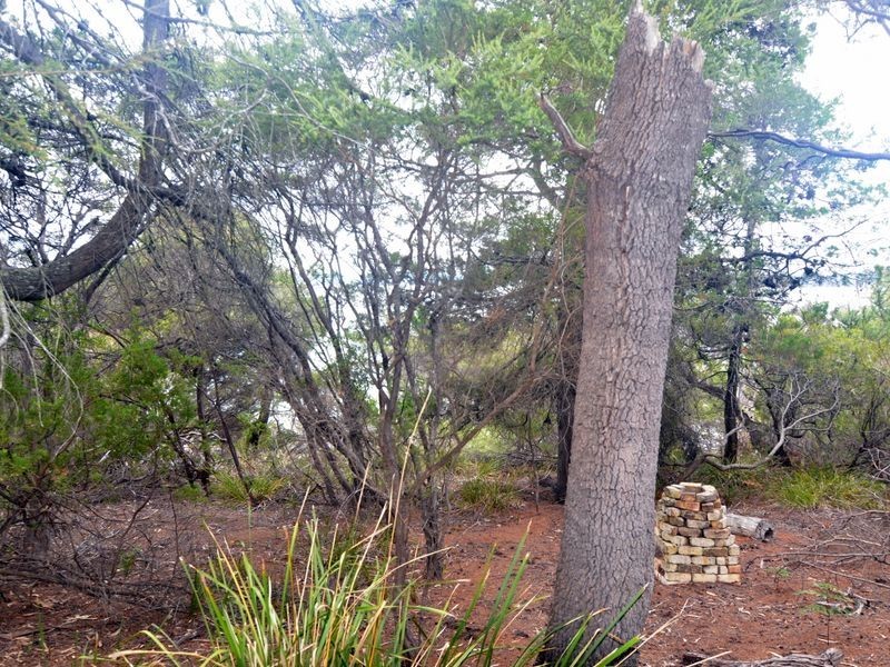426 Freycinet Drive, Coles Bay TAS 7215