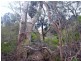 426 Freycinet Drive, Coles Bay TAS 7215