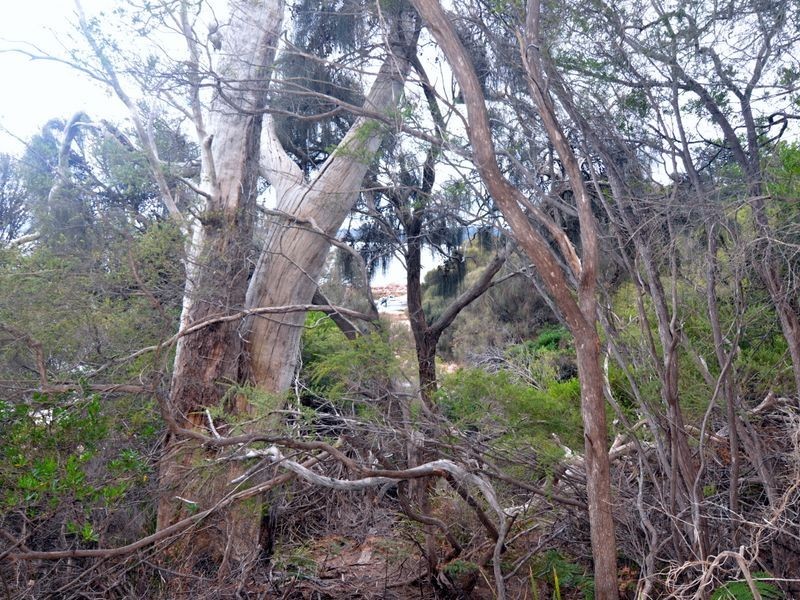 426 Freycinet Drive, Coles Bay TAS 7215