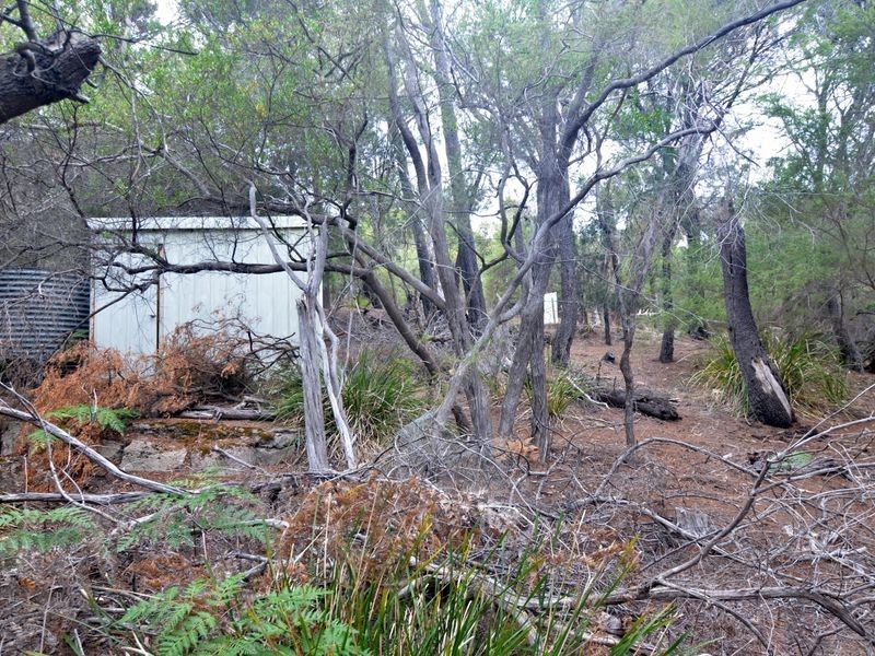 426 Freycinet Drive, Coles Bay TAS 7215