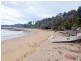426 Freycinet Drive, Coles Bay TAS 7215