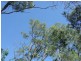 27 Rosedale Road, Bicheno TAS 7215