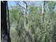 27 Rosedale Road, Bicheno TAS 7215
