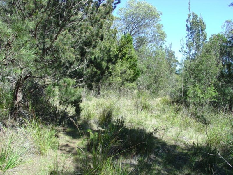 27 Rosedale Road, Bicheno TAS 7215