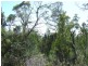 27 Rosedale Road, Bicheno TAS 7215