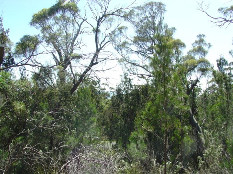 27 Rosedale Road, Bicheno TAS 7215