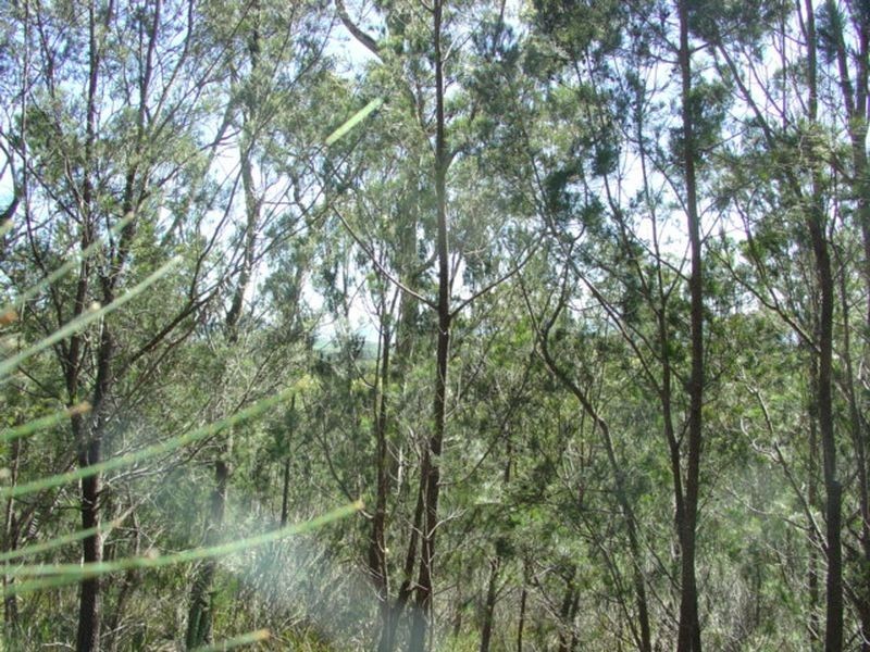 27 Rosedale Road, Bicheno TAS 7215