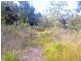 179 Rosedale Road, Bicheno TAS 7215