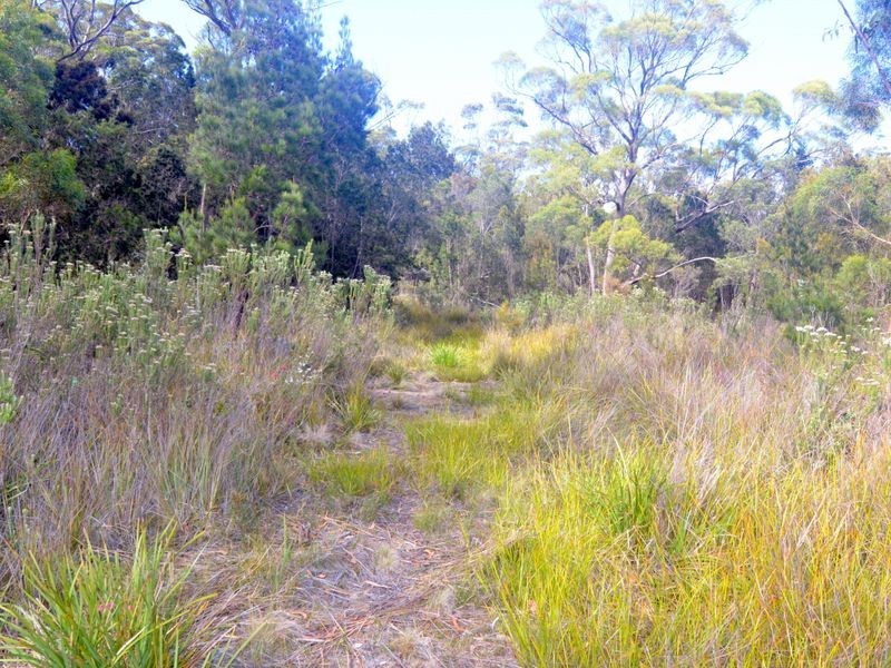 179 Rosedale Road, Bicheno TAS 7215