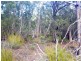 179 Rosedale Road, Bicheno TAS 7215