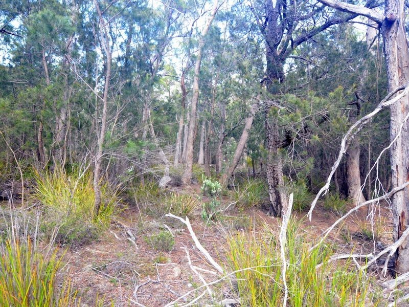 179 Rosedale Road, Bicheno TAS 7215