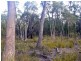 179 Rosedale Road, Bicheno TAS 7215