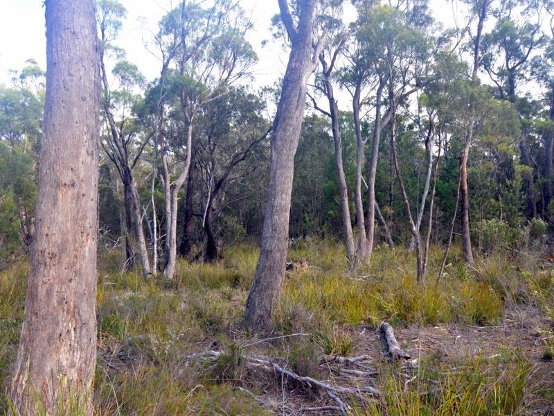 179 Rosedale Road, Bicheno TAS 7215