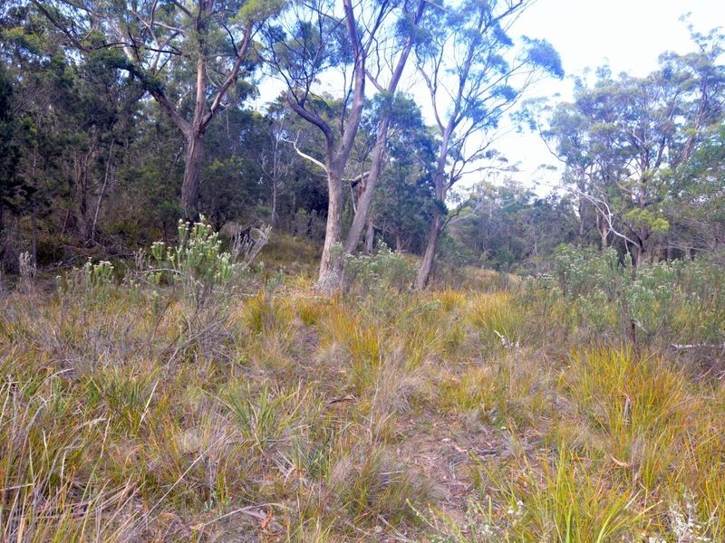 179 Rosedale Road, Bicheno TAS 7215
