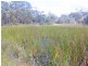 179 Rosedale Road, Bicheno TAS 7215