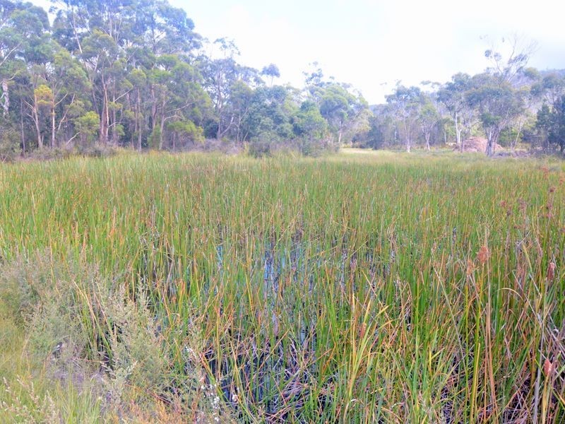 179 Rosedale Road, Bicheno TAS 7215