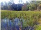 179 Rosedale Road, Bicheno TAS 7215