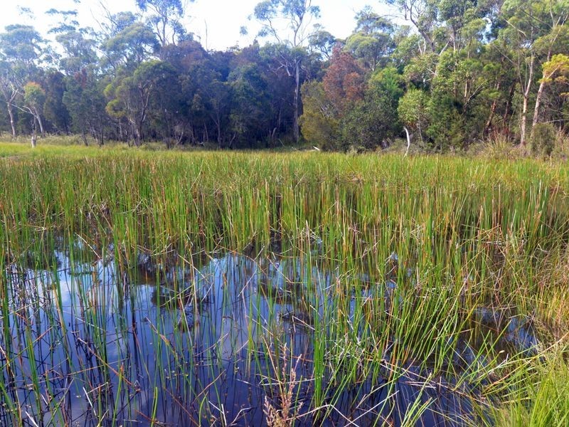 179 Rosedale Road, Bicheno TAS 7215