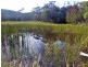 179 Rosedale Road, Bicheno TAS 7215