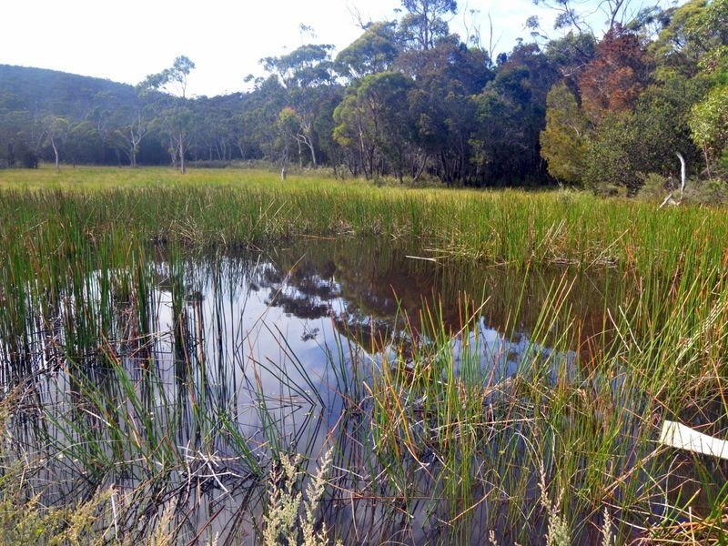 179 Rosedale Road, Bicheno TAS 7215
