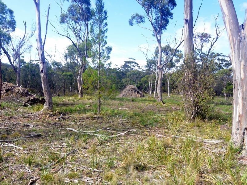 179 Rosedale Road, Bicheno TAS 7215