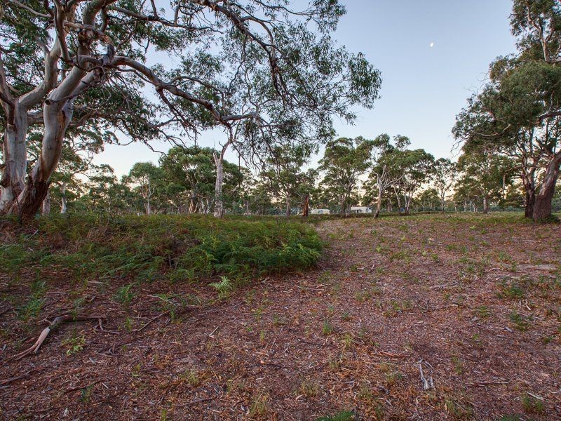 154 Cambria Drive, Dolphin Sands TAS 7190