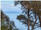 111 Esplanade, Coles Bay TAS 7215
